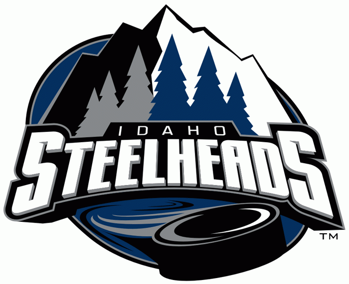 idaho steelheads 2011-pres alternate logo iron on transfers for clothing...